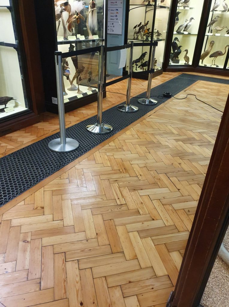 Criterion flooring refurbishing at Tring Museum